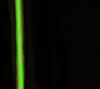 Any image text